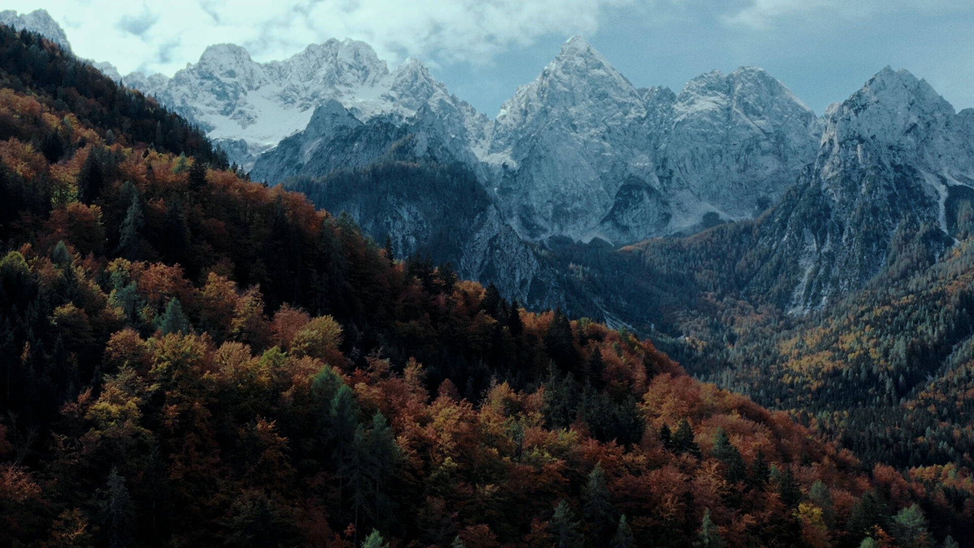 Exklusive Fashion by BOGNER and FIRE+ICE