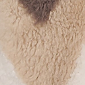 Creme/Braun