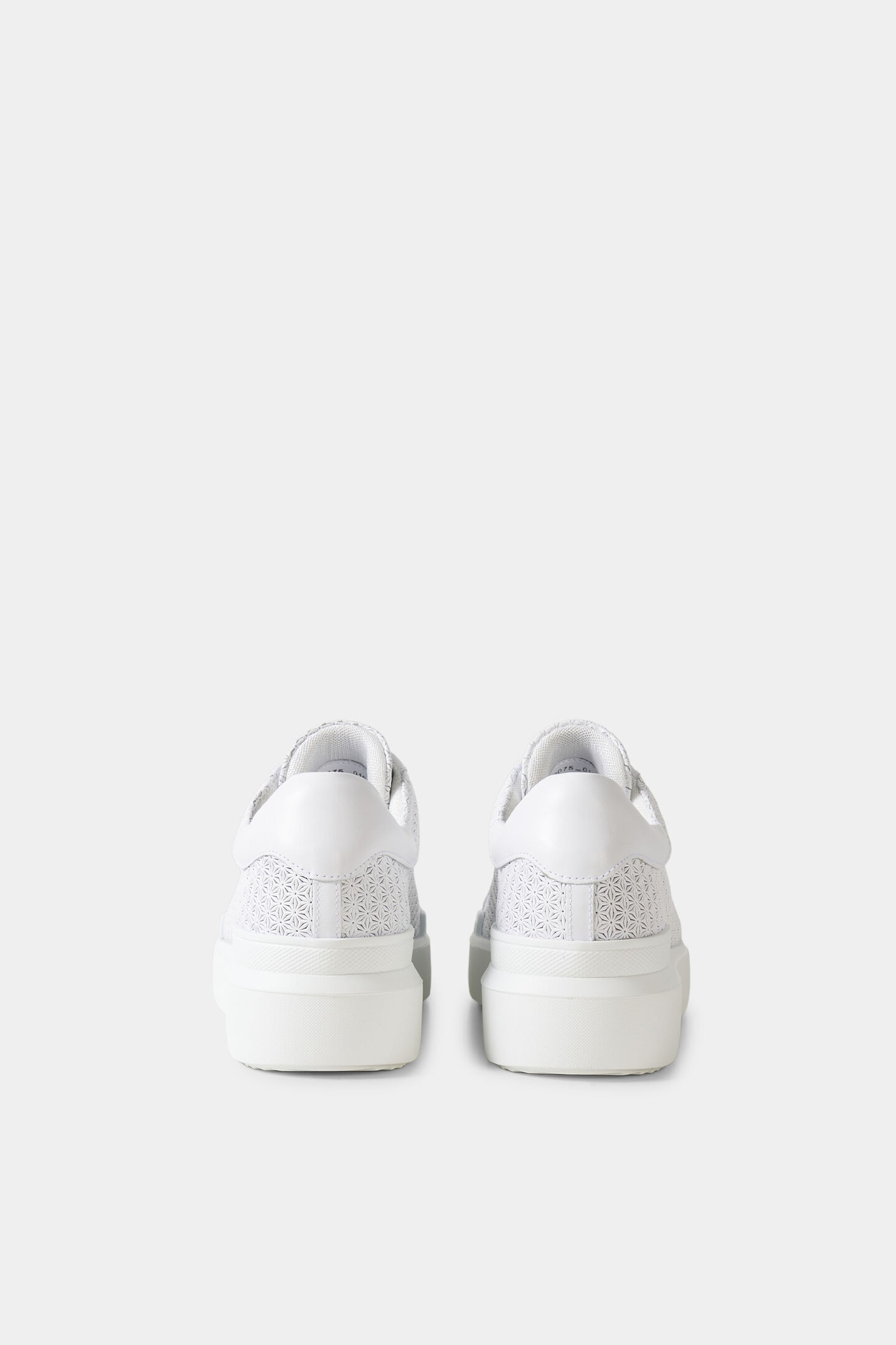 Sneaker Hollywood White