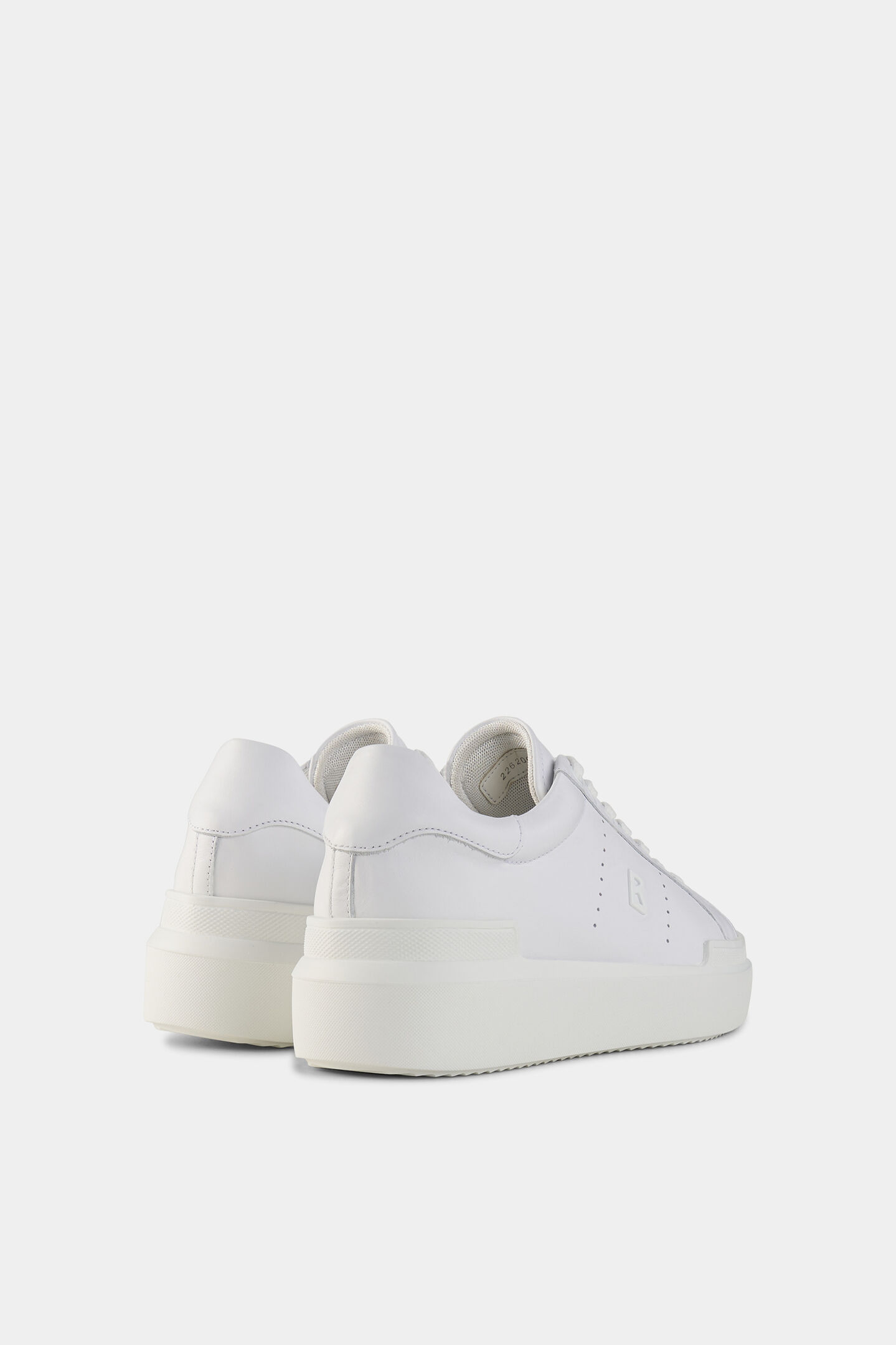 Sneaker Hollywood White