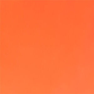 Neon orange