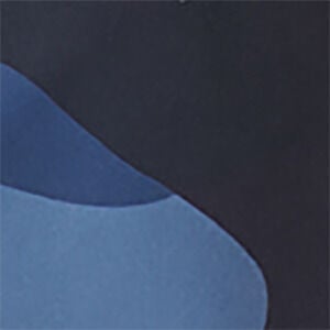 Navy/Blue