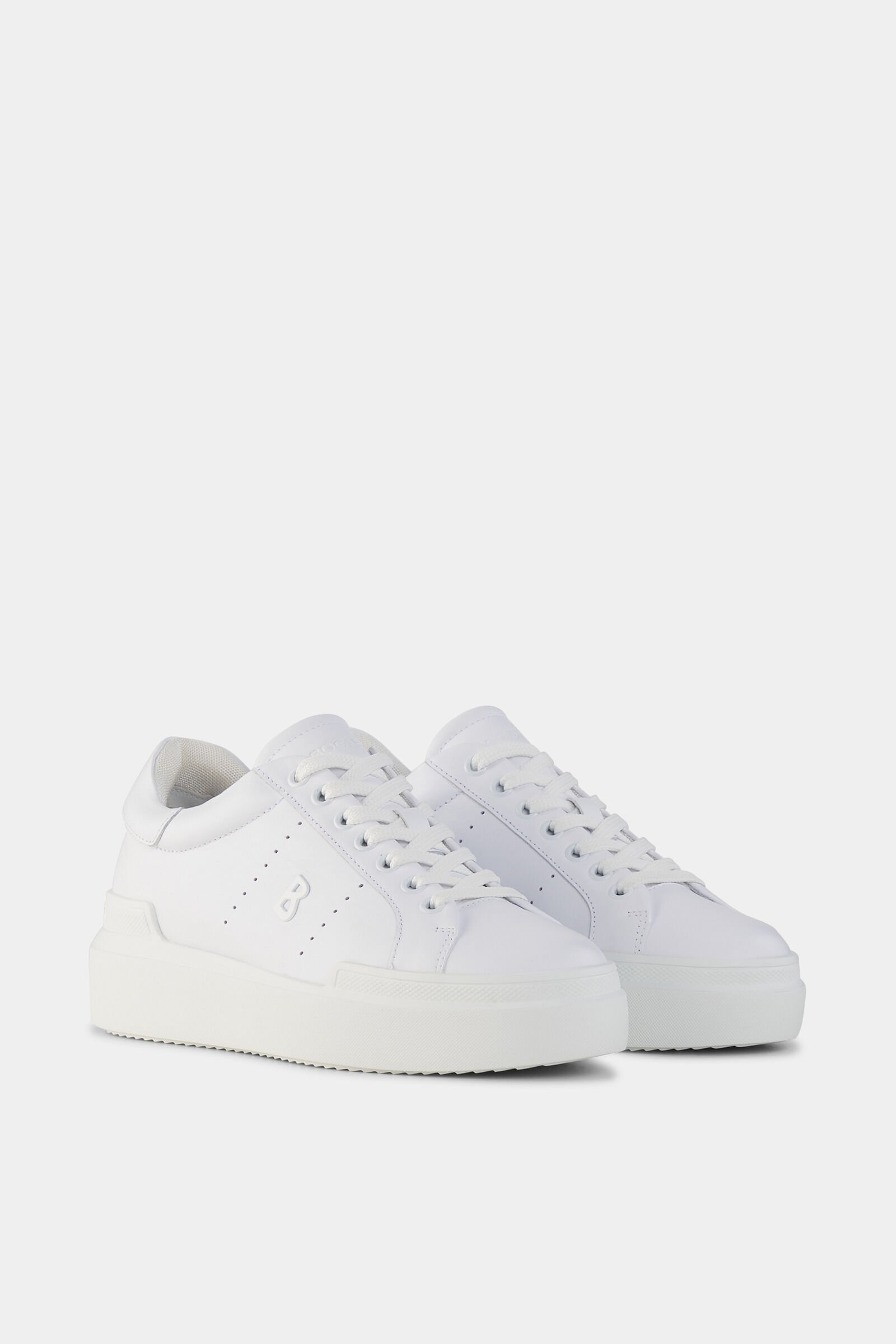 Sneaker Hollywood White