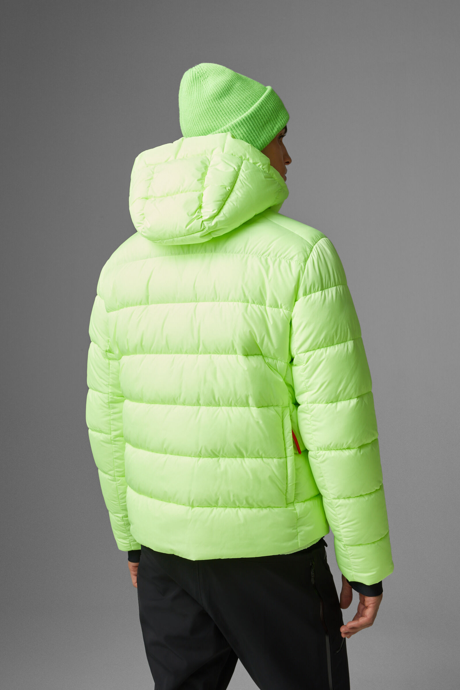 Bogner luka on sale