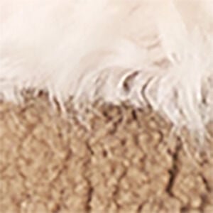 Creme/Braun