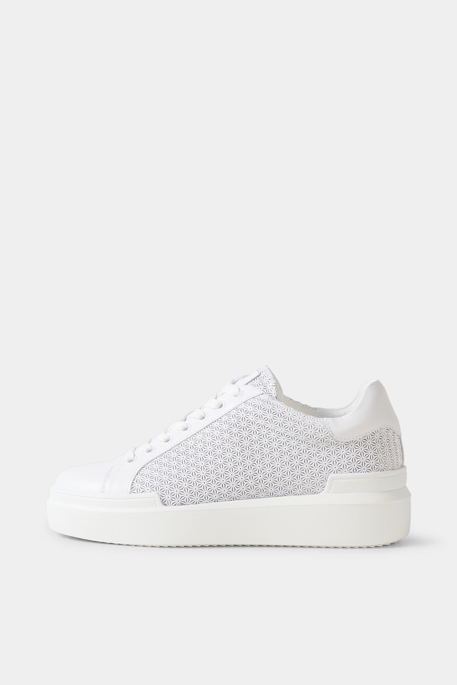 Sneaker Hollywood White