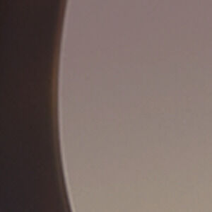 Braun/Bernstein/Gold