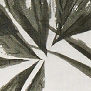 Oliv-Gr&uuml;n/Creme