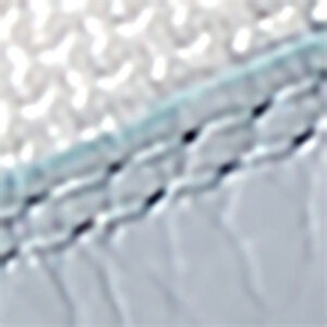 Light blue/ros&eacute;