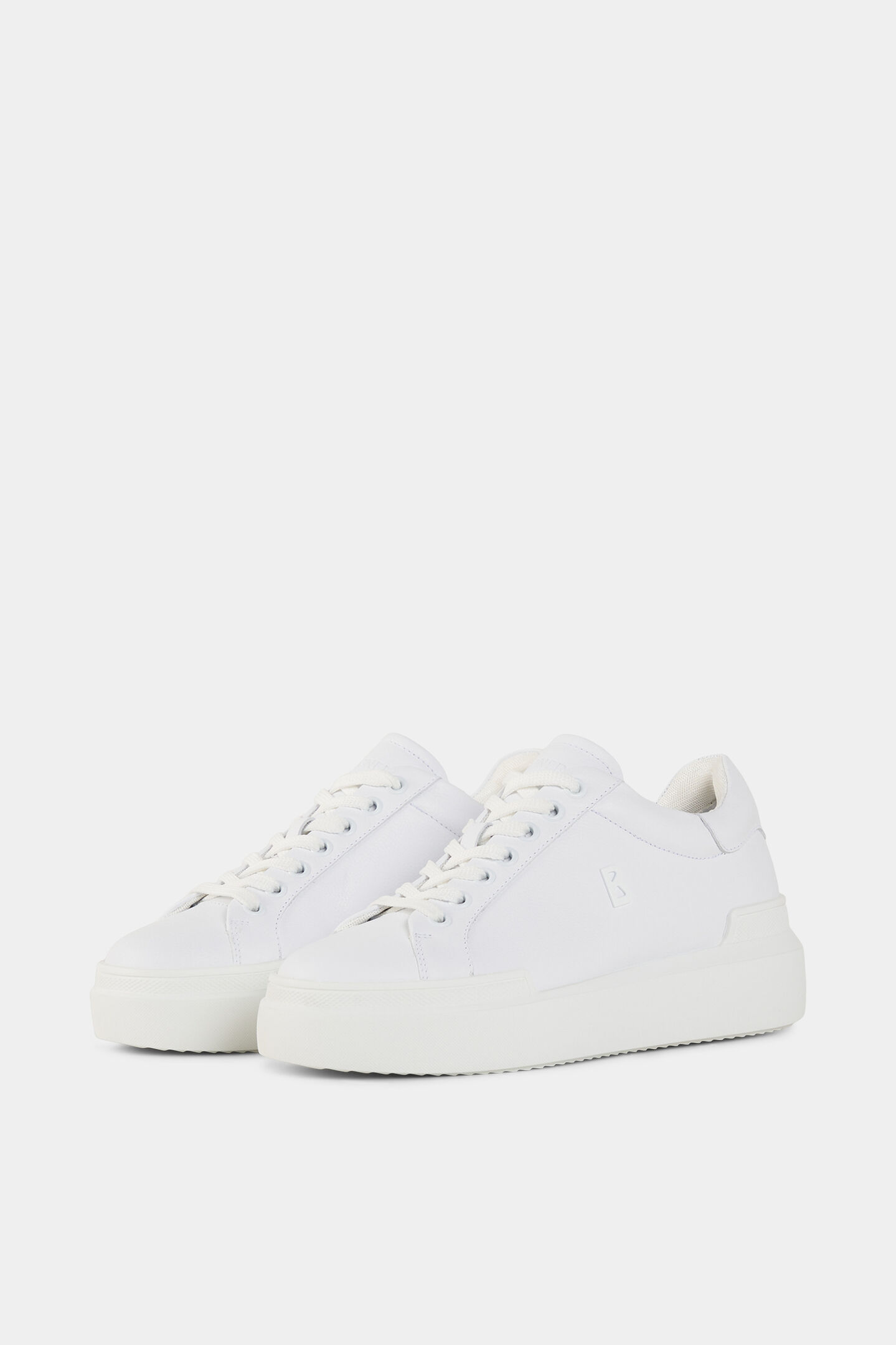 Sneaker Hollywood Wit