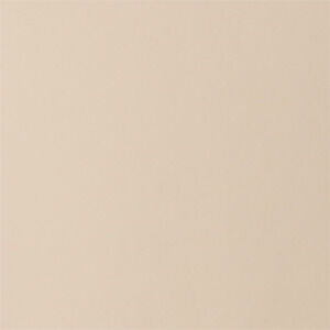 Camel/White