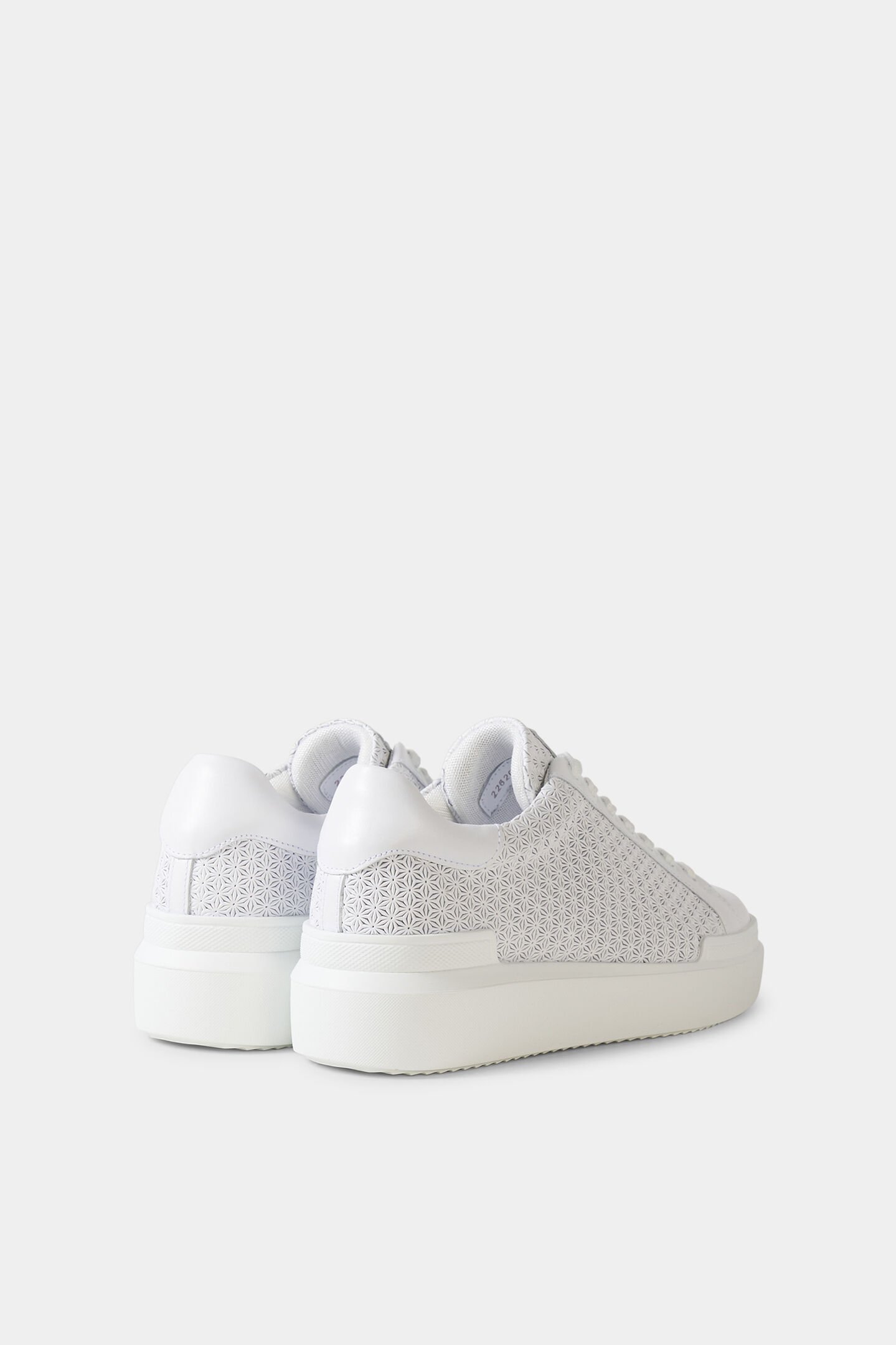 Sneaker Hollywood White