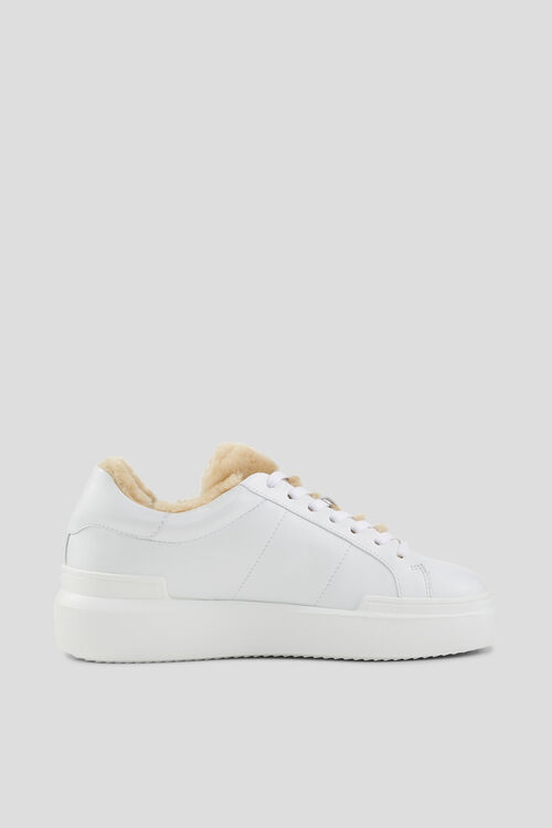 Sneaker Hollywood