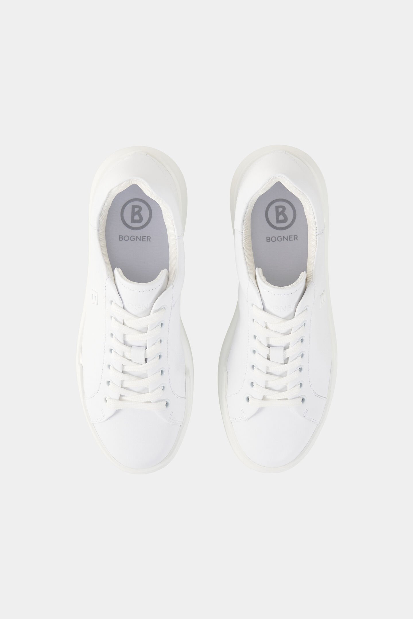 Sneaker Hollywood Wit