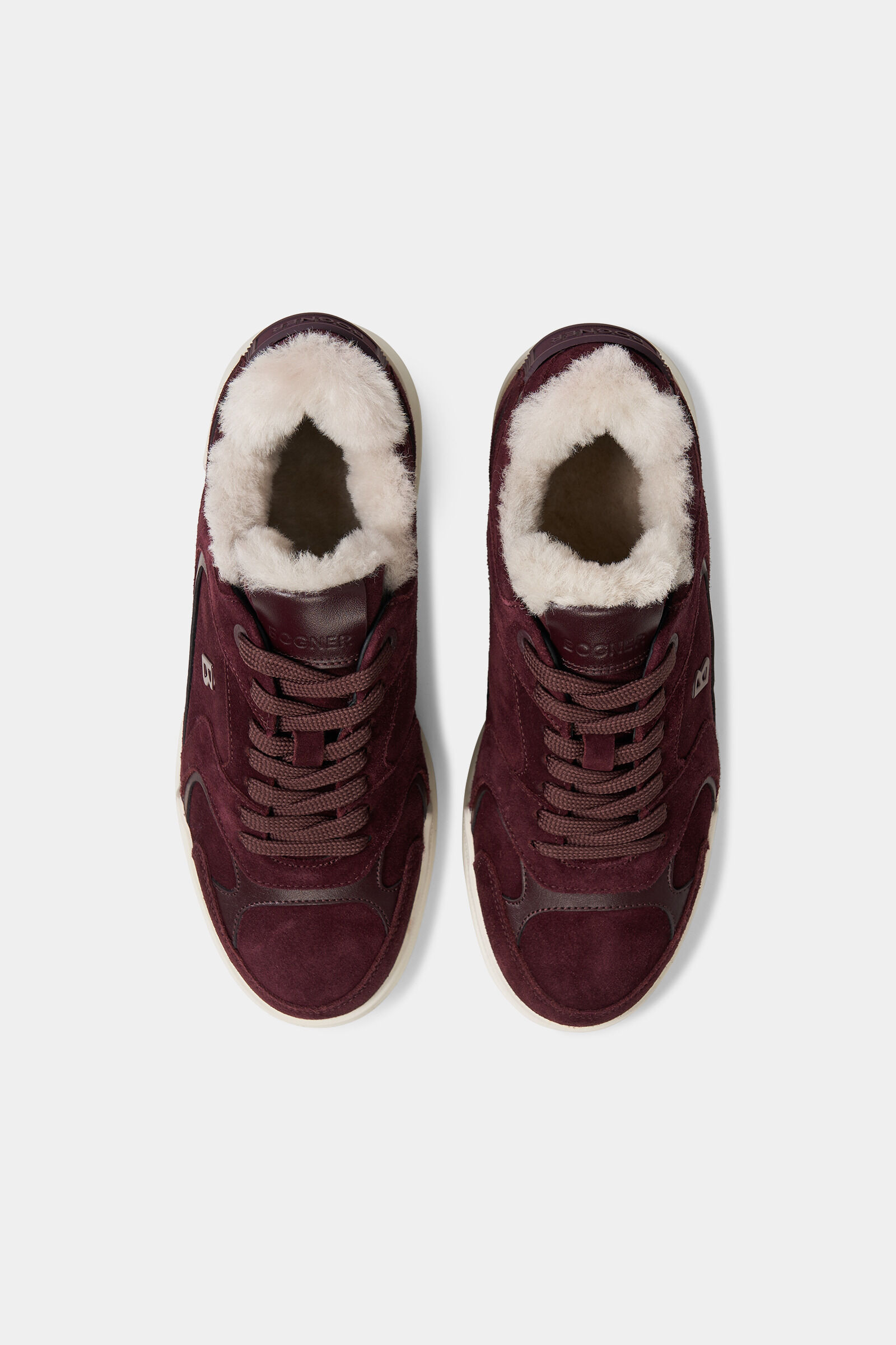 Sneaker Hollywood Bordeaux